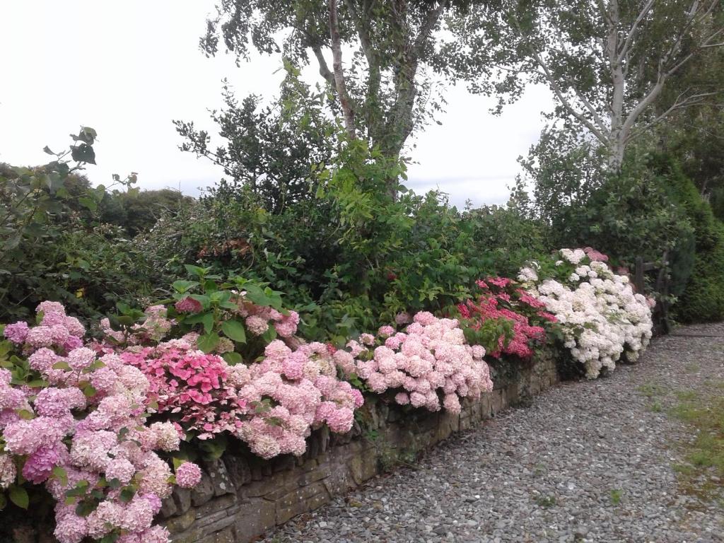 Devenish Lodge B&B room 2