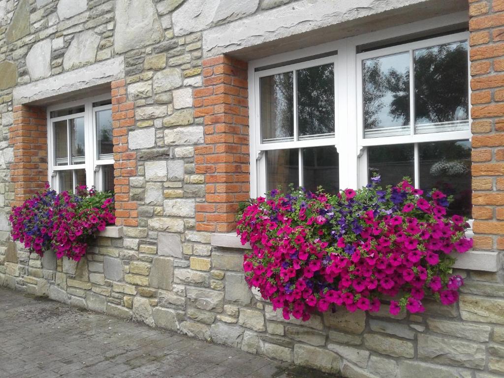 Devenish Lodge B&B room 5